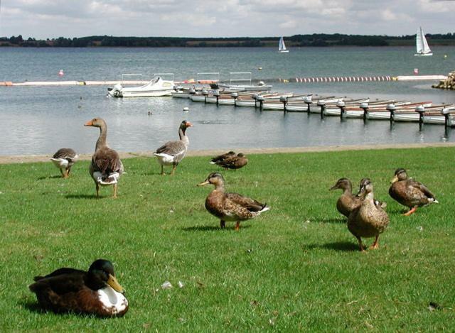 Grafham Water Lodge Ngoại thất bức ảnh